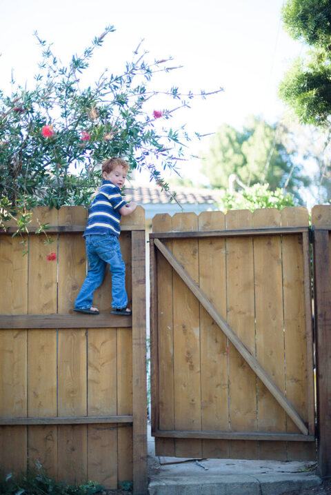 Family Photography Palos Verdes (10)