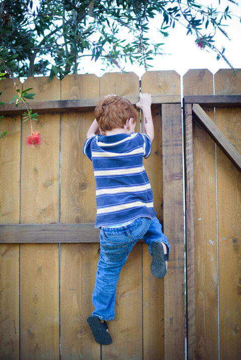 Family Photography Palos Verdes (8)