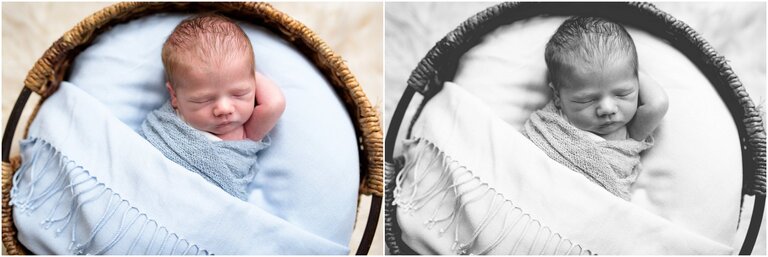 Torrance Newborn Photography