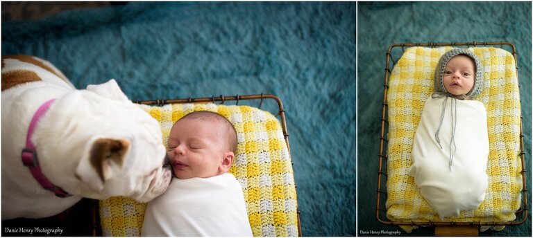 Newborn Photographer Redondo Beach