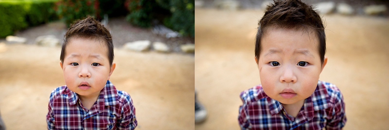 Toddler boy milestone photo session at South Coast Botanic Garden