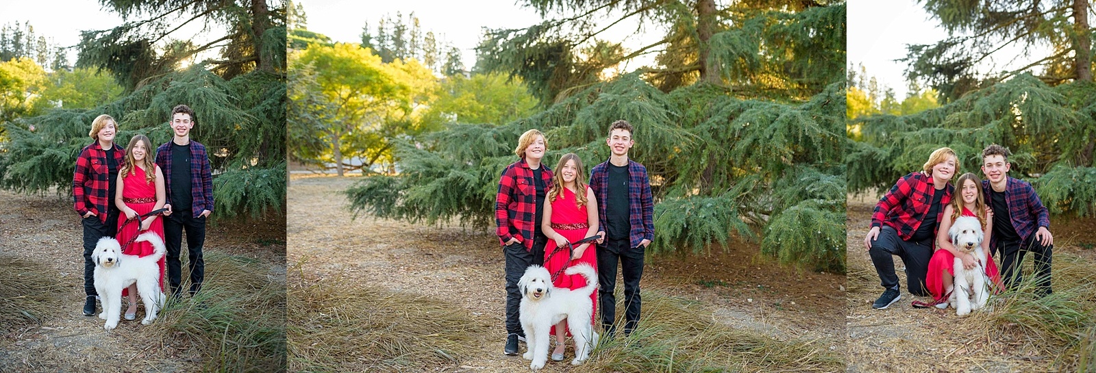Wooded family photo in the South Bay